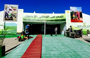 ماذا يجري بالمديرية الإقليمية للفلاحة والصيد البحري بوزان ؟
