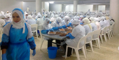 شركة مملوكة لعائلة ثرية بطنجة تتحشركة مملوكة لعائلة ثرية بطنجة تتحول إلى “شبح” بعد صدور حكم ضدهاول إلى “شبح” بعد صدور حكم ضدها