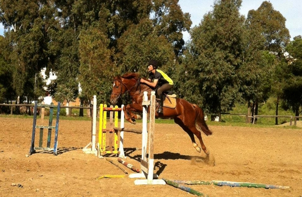 النادي الملكي للفروسية “خارج التغطية”