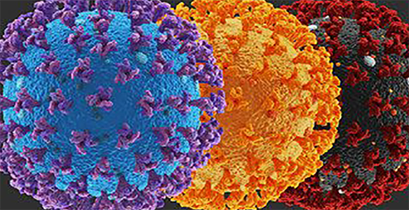 التغييرات في التسلسل الجيني ل”كوفيذ-19″ “A” 501- V2″ / ” B” B.1. 351″