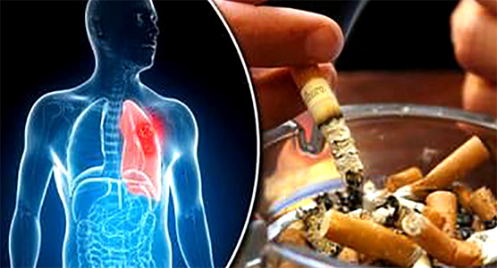 آفة الإدمان.. وقفة مع التدخين بالمؤسسات التعليمية..