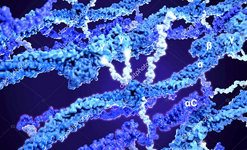 اللقاحات و حالة الجلطة ؟ ” Vaccin & risque de thrombose “
