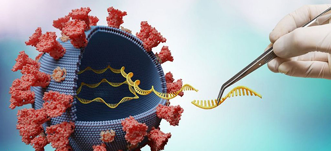“ديلتا” و الفوْضى في أسواق الأسهم