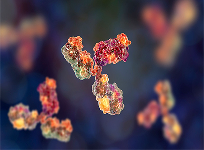 “الفيروس” العدُوُّ المجهول “الأجسام المُضادة الوحيدة النسيلة” “Les anticorps monoclonaux  contre SARS-COV-2 “