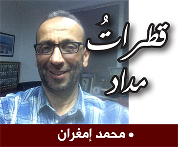 قالوا عن المعرض الدولي للكتاب..