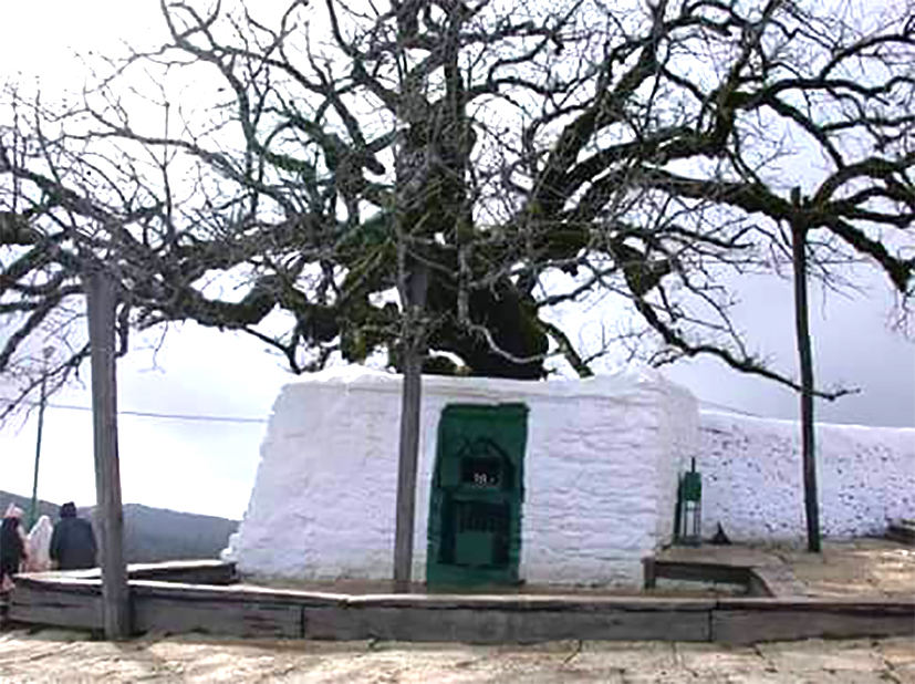 مراسلات ومطارحات لأعلام شمال المغرب (20)